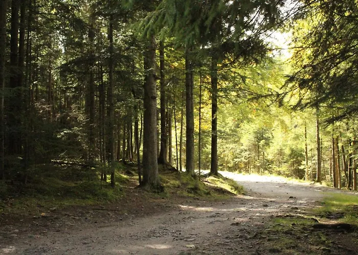 Zespol Dolina Bialego - Telimena Zakopane