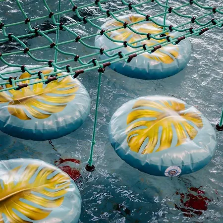 Zespol Dolina Bialego - Telimena Гостевой дом Закопане