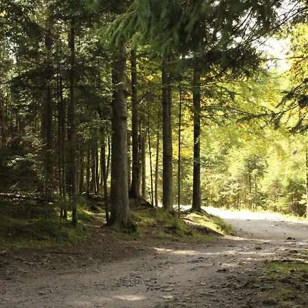 Zespol Dolina Bialego - Telimena Zakopane