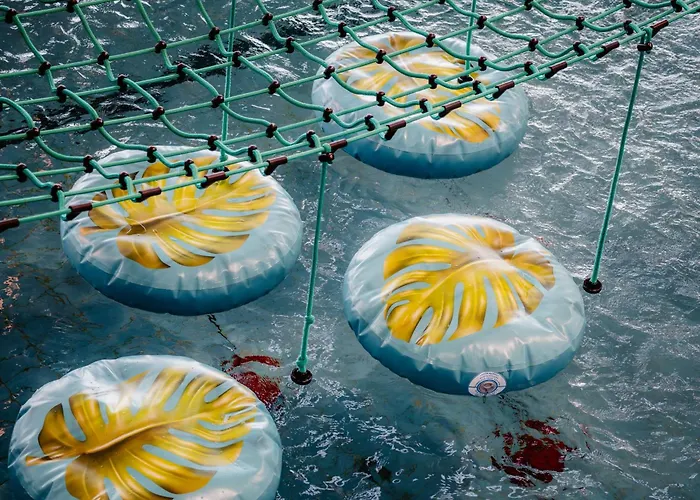 Zespol Dolina Bialego - Telimena בית הארחה זקופאנה